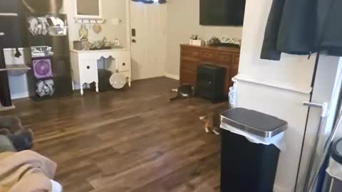 Snapshot of chubbyhubbyy420 chatting on 12, 9, 2025 ChubbyHubby420 online show from 12, 9, 2025