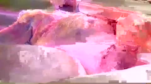 chummy50222 online show from 8, 12, 2024