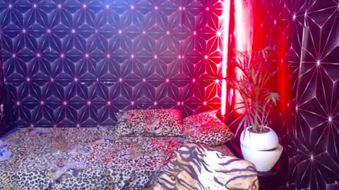 Cindy online show from 7, 1, 2025