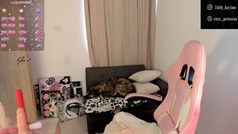 Snapshot of circe_l chatting on 6, 11, 2025 Paulina online show from 6, 11, 2025