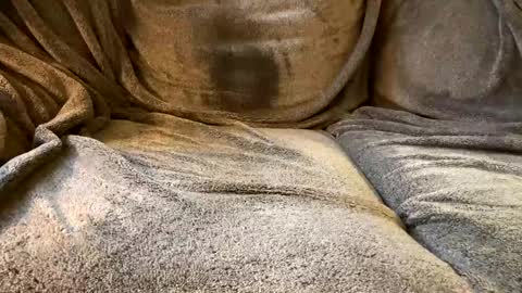 Snapshot of circlejerkslutt chatting on 2, 12, 2024 join the circle online show from 2, 12, 2024