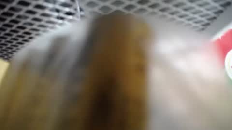 Snapshot of clare_sm chatting on 27, 11, 2025 487699 online show from 27, 11, 2025