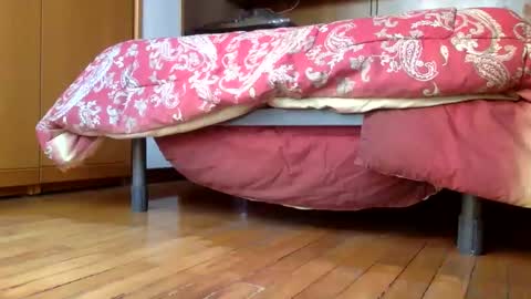 Snapshot of claudi779 chatting on 29, 12, 2024 claudi779 online show from 29, 12, 2024