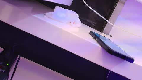 Snapshot of cleeoadams_ chatting on 24, 1, 2025 Cleo Adams online show from 24, 1, 2025