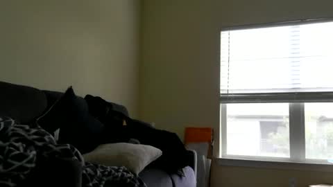 instayour big commander online show from 24, 12, 2024