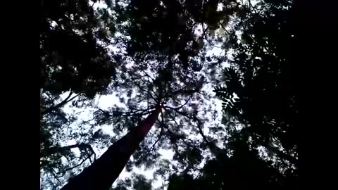 Snapshot of cmdwmd chatting on 26, 1, 2025 Matriarch Muse online show from 26, 1, 2025