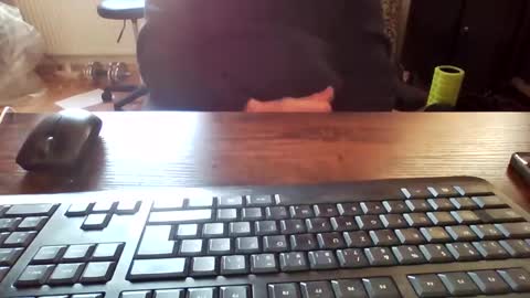 cock4onenight online show from 7, 2, 2025