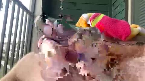 Snapshot of cocostarfish chatting on 1, 3, 2026 cocostarfish online show from 1, 3, 2026