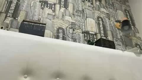 colambus83 online show from 8, 3, 2026