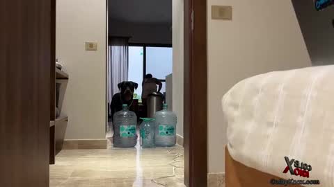 colbyknox online show from 20, 9, 2025