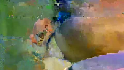 Snapshot of colourlight chatting on 9, 11, 2025 colourlight online show from 9, 11, 2025