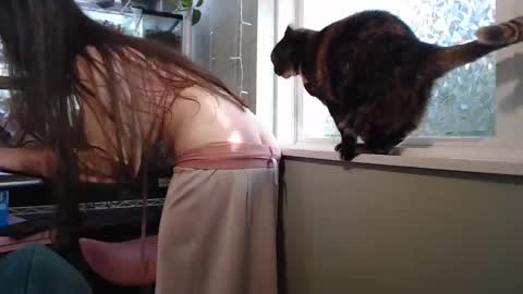 Snapshot of constantcumquest chatting on 26, 9, 2025 ANR Mommy online show from 26, 9, 2025