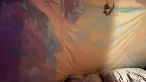 coochiechakrahealer online show from 30, 12, 2024