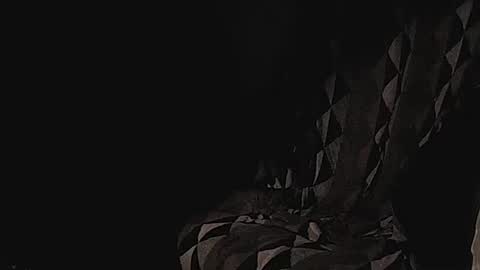 Snapshot of coolmementox chatting on 17, 1, 2025 ChoveEnArrakis online show from 17, 1, 2025