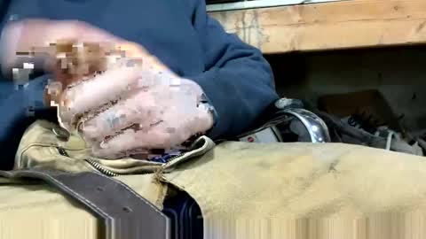 Snapshot of copart84 chatting on 28, 12, 2024 copart84 online show from 28, 12, 2024