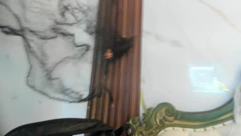 Snapshot of coraliebronson chatting on 28, 10, 2025 Coralie Bronson online show from 28, 10, 2025