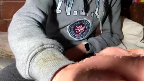 Snapshot of corradog83 chatting on 29, 12, 2024 Corrado online show from 29, 12, 2024