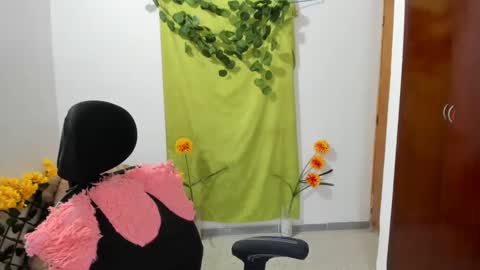 Snapshot of corzoethan chatting on 28, 12, 2024 Ethan online show from 28, 12, 2024