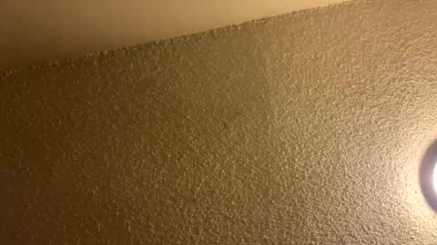 Snapshot of couplebroad_ chatting on 3, 3, 2025 couplebroad_ online show from 3, 3, 2025