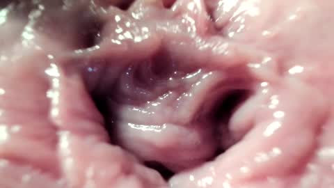 Snapshot of courtney_luv chatting on 22, 1, 2025 Im Courtney Nice to meet youFollow meInstagram courtneyluv778 online show from 22, 1, 2025