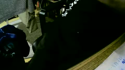 coyote017 online show from 24, 1, 2025