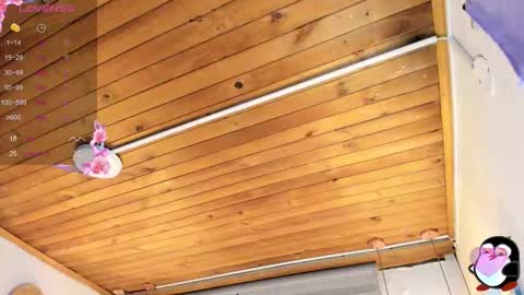 Cristal online show from 15, 9, 2025