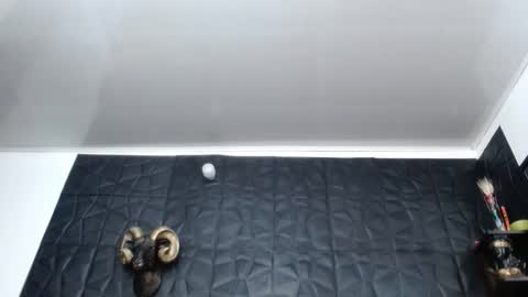 Hanna  online show from 26, 2, 2026