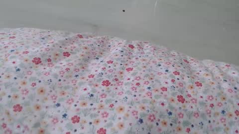 cristiyna36 online show from 26, 3, 2026