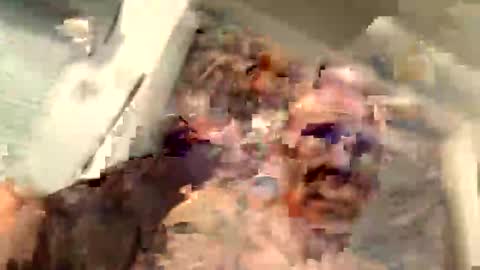 critterick6674 online show from 31, 3, 2026