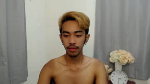 crocodale online show from 29, 11, 2025