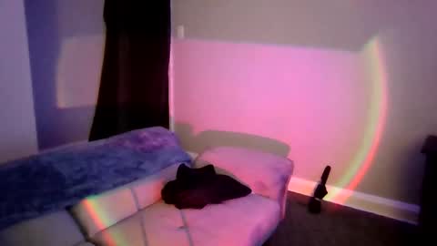 cruz815 online show from 17, 3, 2026