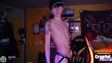 CryptidTwink online show from 19, 2, 2026