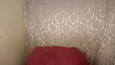 carol     online show from 6, 4, 2026