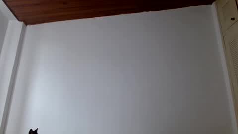 Snapshot of crystal_starx chatting on 18, 7, 2026 Crystal Blaze online show from 18, 7, 2026