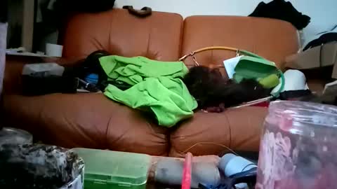 Snapshot of crystelweed chatting on 9, 11, 2025 crystelweed online show from 9, 11, 2025