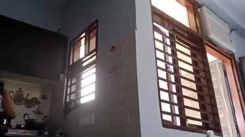 cuddlemuffins online show from 1, 3, 2026