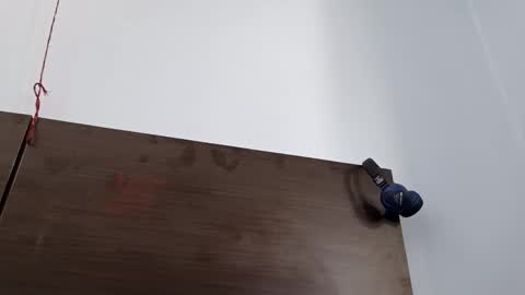 cuddlemuffins online show from 8, 3, 2026