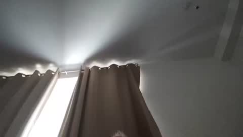 cum286496 online show from 25, 7, 2026