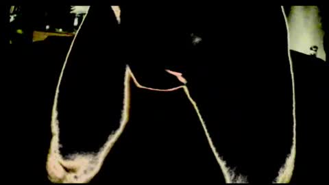 cum4me2i812 online show from 23, 7, 2026