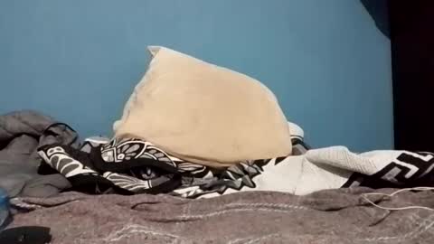 Snapshot of cumbian_chero chatting on 22, 2, 2025 cumbian_chero online show from 22, 2, 2025