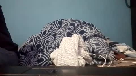 cumbian_chero online show from 14, 7, 2026
