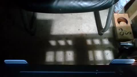 cumfacialxxx online show from 25, 11, 2025