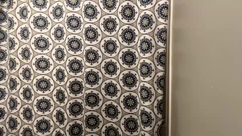 ConCon online show from 20, 1, 2025