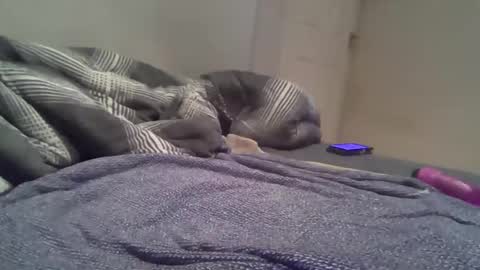 cummbumm69 online show from 14, 2, 2026