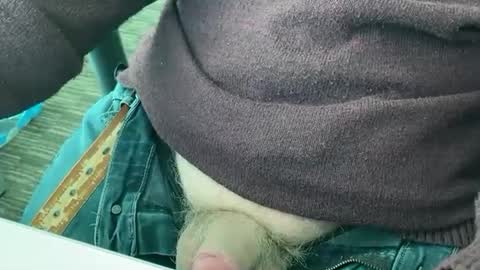 Snapshot of curiosco chatting on 18, 12, 2024 curio online show from 18, 12, 2024