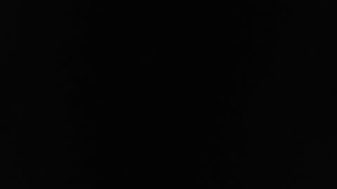 Curious bitch2007 online show from 10, 10, 2025