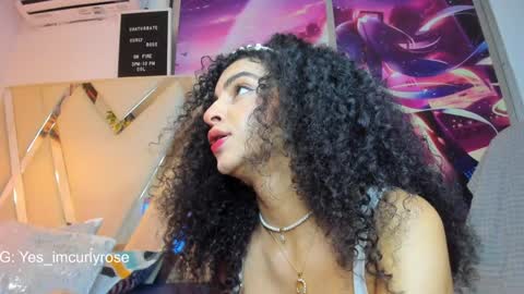 Snapshot of curlyrose_ chatting on 20, 12, 2024 Rose online show from 20, 12, 2024