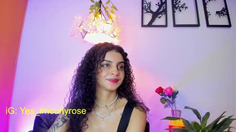 Snapshot of curlyrose_ chatting on 26, 1, 2025 Rose online show from 26, 1, 2025