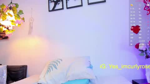 Snapshot of curlyrose_ chatting on 15, 2, 2025 Rose online show from 15, 2, 2025