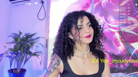 Snapshot of curlyrose_ chatting on 26, 2, 2025 Rose online show from 26, 2, 2025